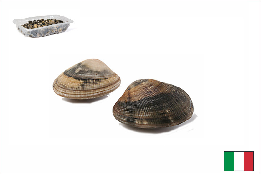 VONGOLE VERACI GROSSE SOTTOVUOTO