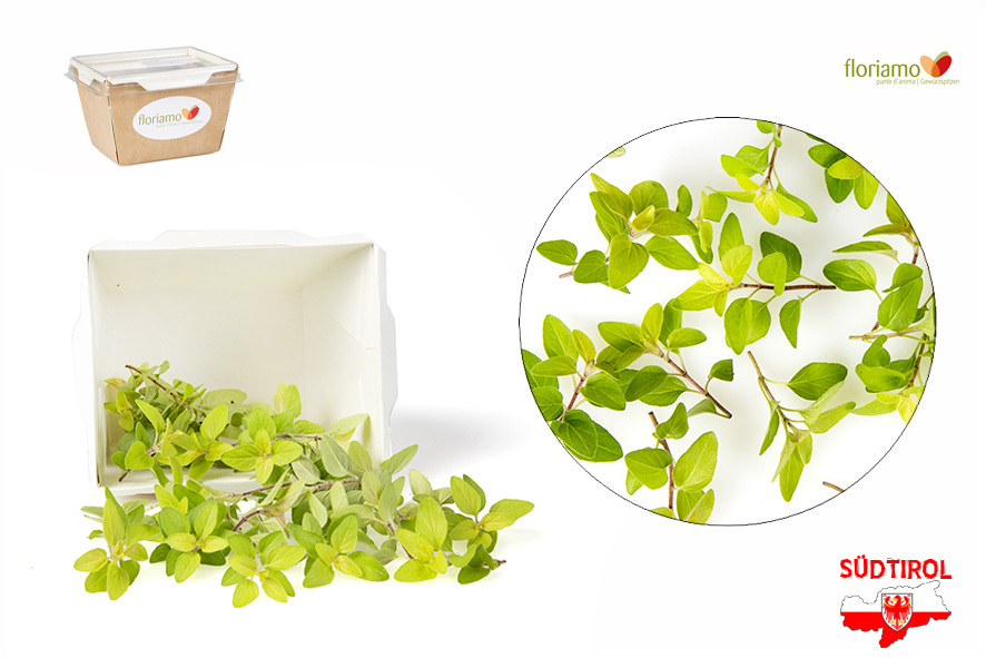 ORIGANO D'ORO PUNTE AA