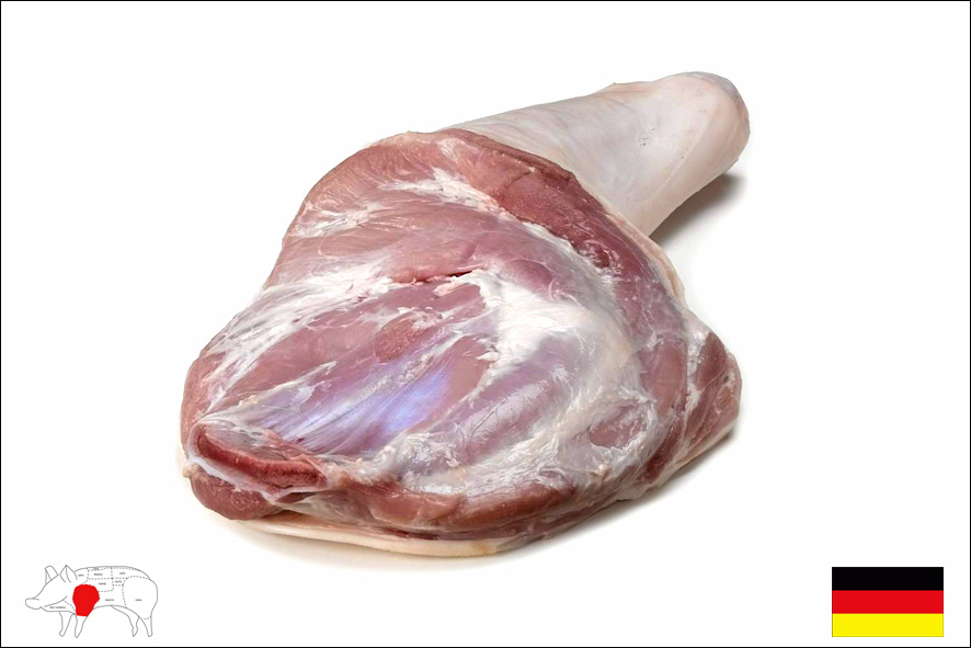MAIALINO SPALLA C/O