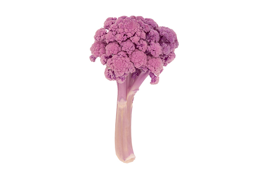 CAVOLFIORE PINK SELVATICO
