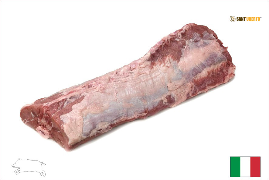 CINGHIALE SELLA C/O  (I)