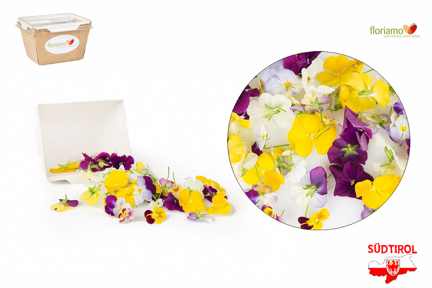 FIORI VIOLETTE EDULI