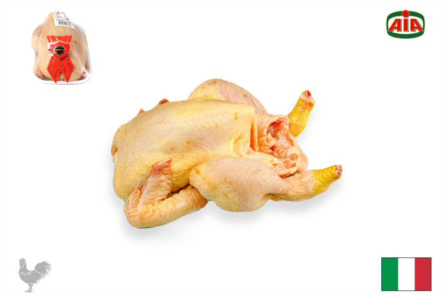 GALLETTO BABY 500-600 GR(I)