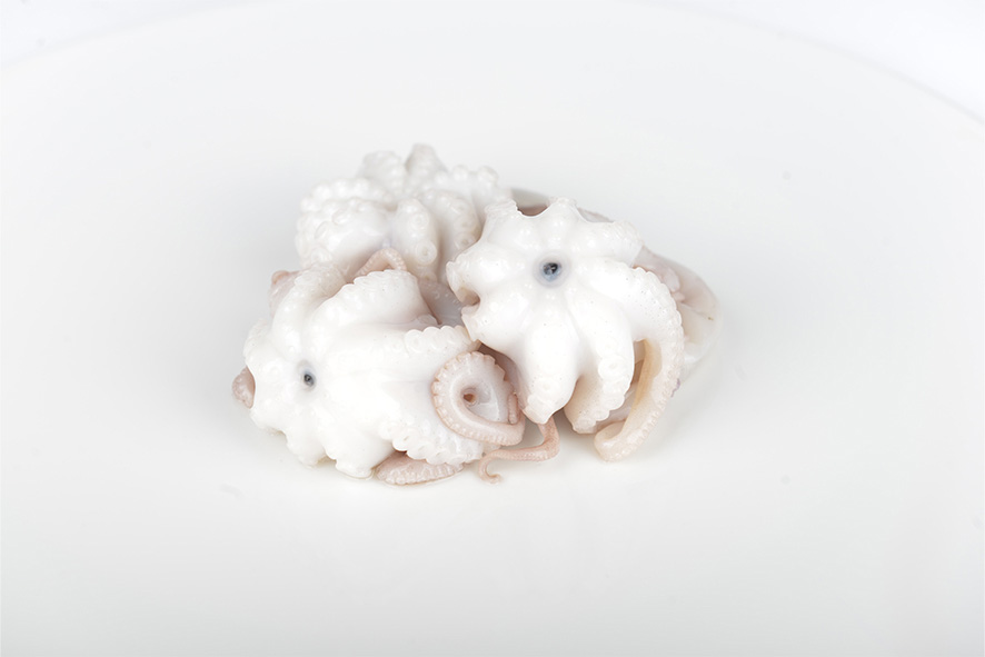 MOSCARDINI PULITI IQF 50-100 GR SG