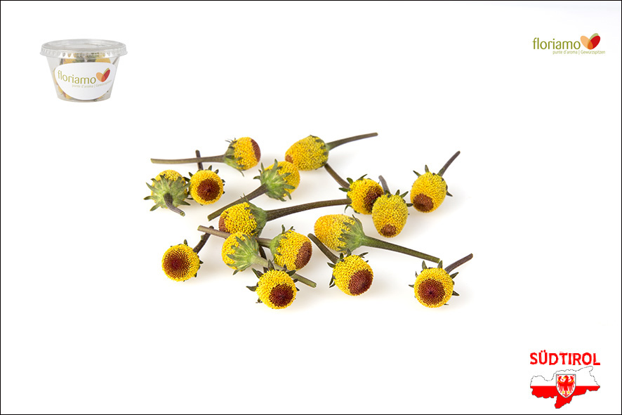 FIORI SECHUAN (CRESCIONE BRASILE)AA