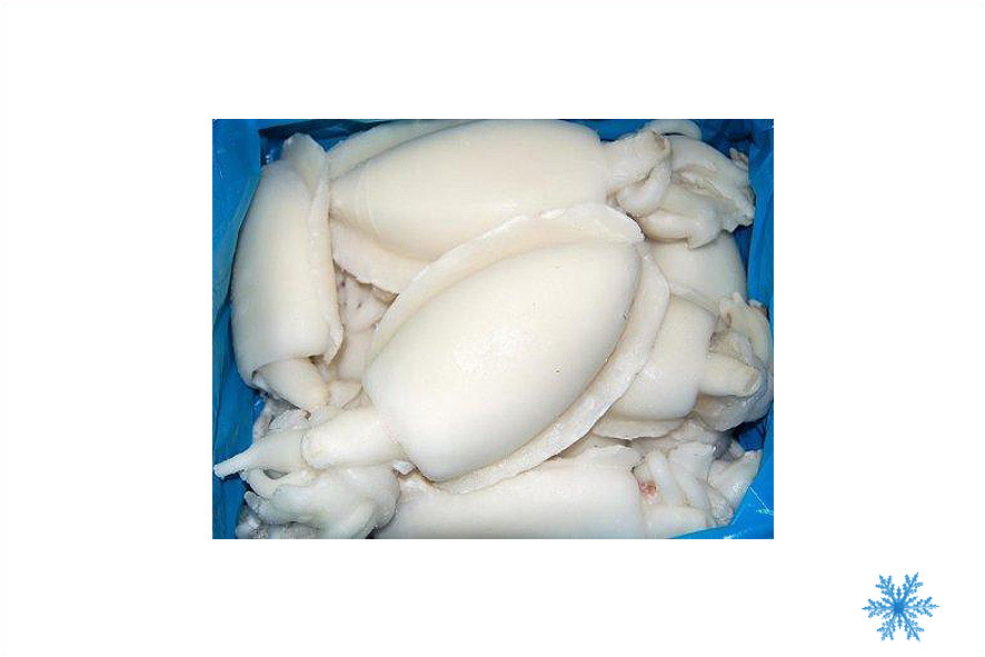 SEPPIE INDOPACIF.PUL.11-20 PZ/KG SG