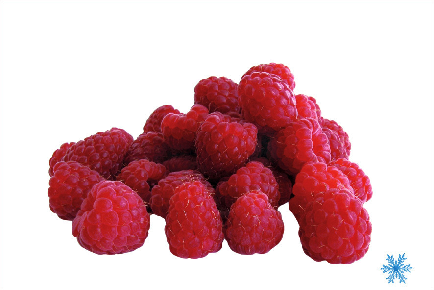 HIMBEEREN EXTRA TOP  TK