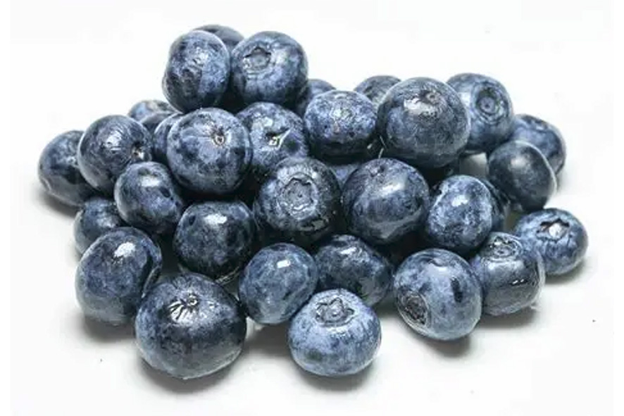 MIRTILLI NERI GRANDI