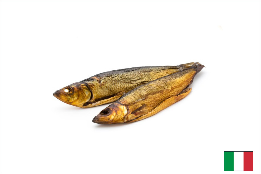 ARINGA AFFUMICATA ARGENTATA