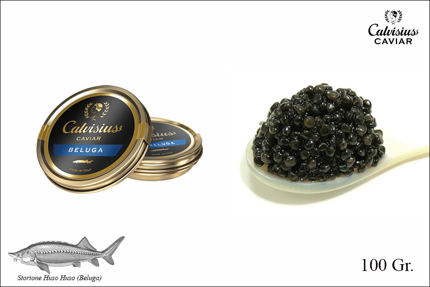 CAVIALE BELUGA
