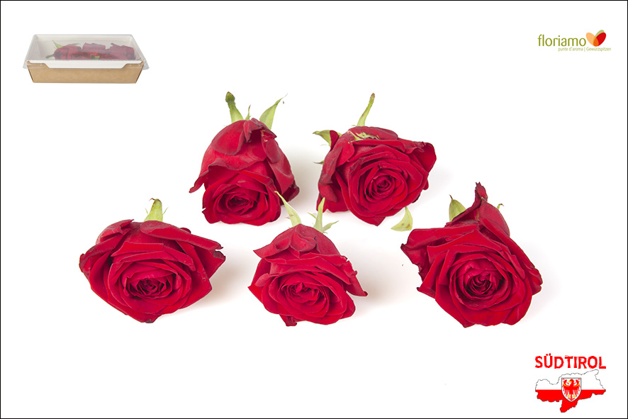 ROSE ROSSE FRESCHE COMMESTIBILI AA