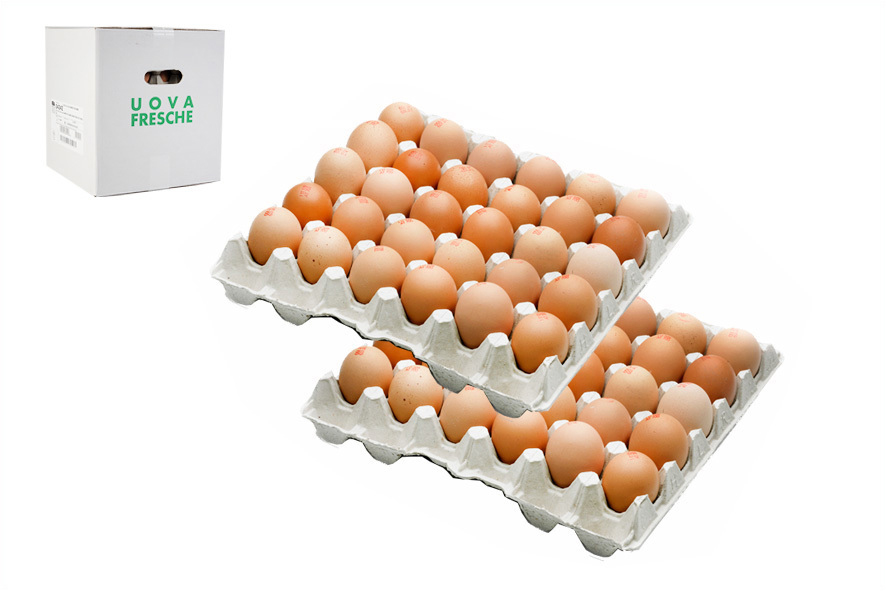 UOVA P/GIALLA 63/73 L