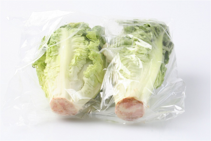 MINI ROEMERSALAT (ROMANAHERZEN)(E)