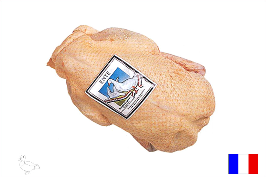 ENTE BARBERIE 1,5-1,7 KG(F)