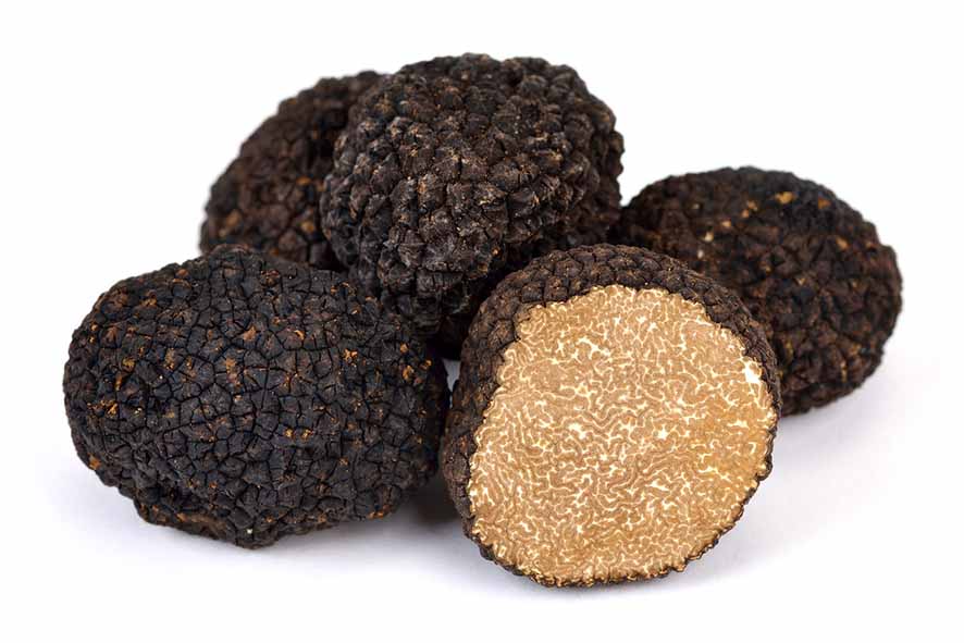 TARTUFO NERO UNCINATO 15/79 GR