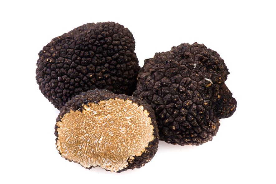 TARTUFO NERO UNCINATO 15/99