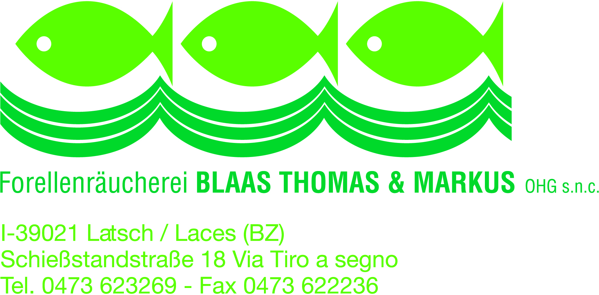 Blaas 
