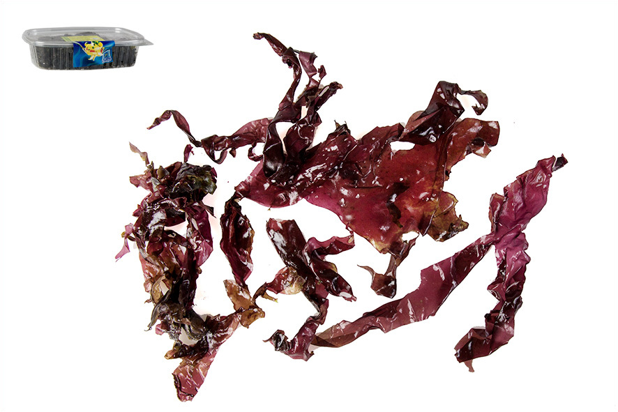 ALGEN DULSE UNTER SALZ BIO