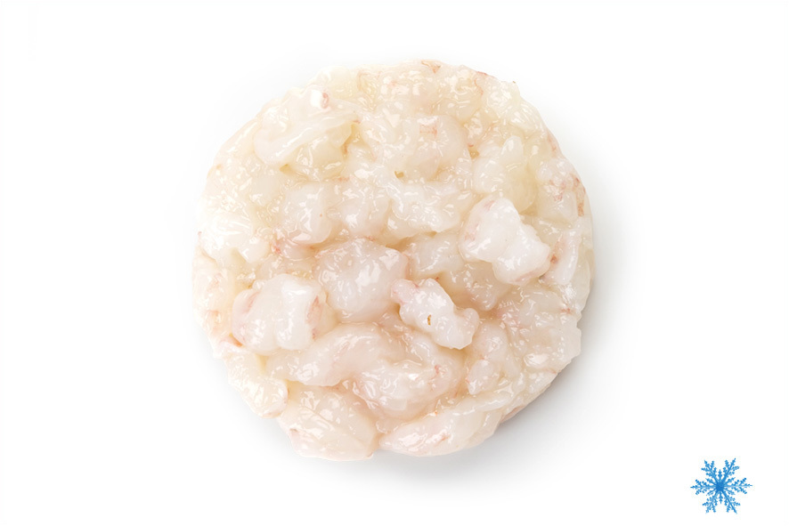 TARTARA SCAMPO SG