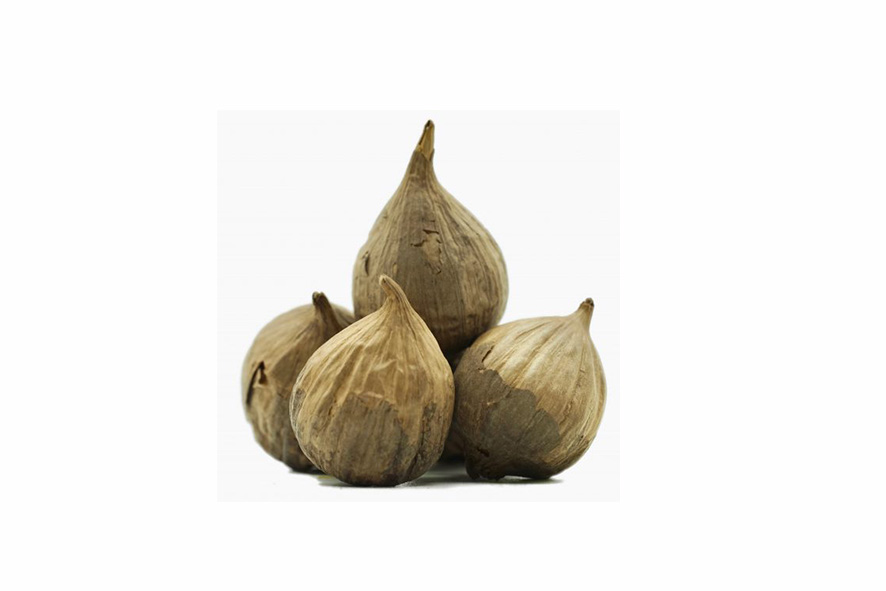 KNOBLAUCH SCHWARZ GESCHAELT