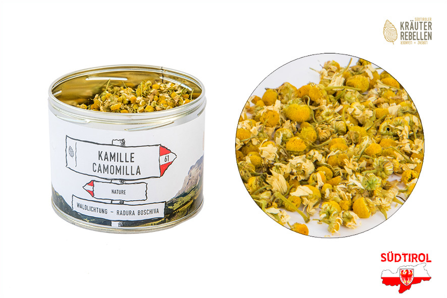 TEE KAMILLE LOSE 61 L-D