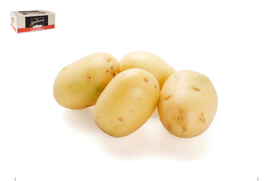 PATATE GRENAILLE AGATA