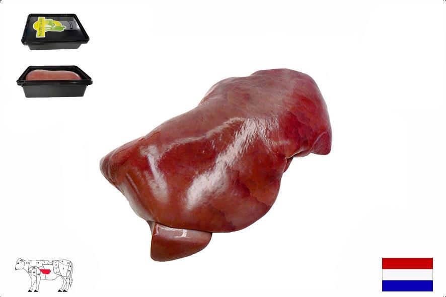 KALB LEBER