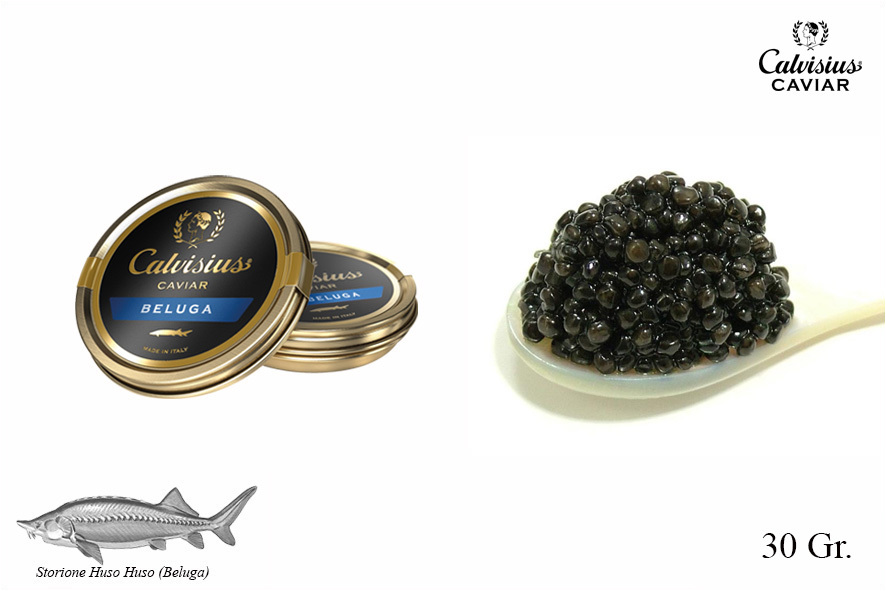 CAVIALE BELUGA