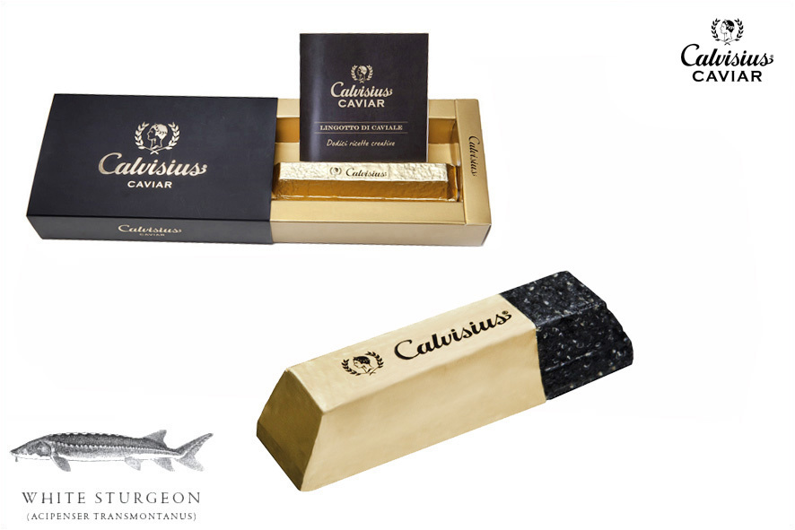 LINGOTTO CAVIALE CALVISIUS MALOSSOL