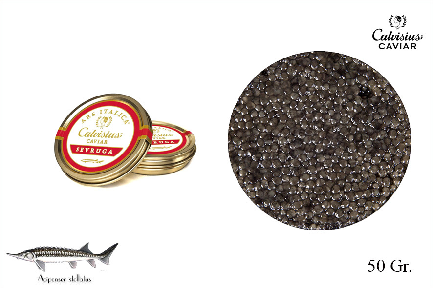 CAVIALE ARS ITALICA SEVRUGA ROYAL