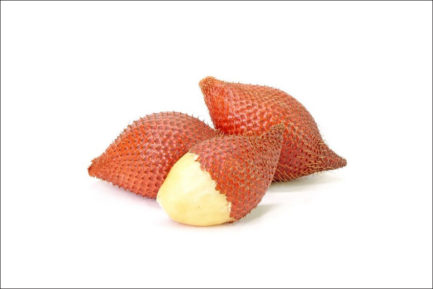 SALAK