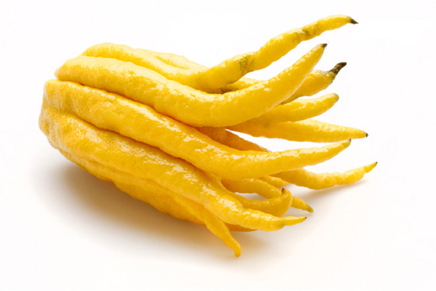 LIMONI "MANO DI BUDDA"