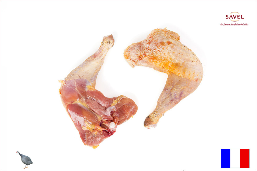 PERLHUHN KEULEN M/K(F)