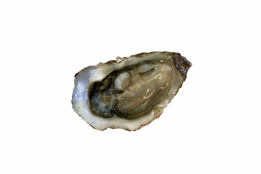 OSTRICHE SPECIAL DE BRETAGNE N°5