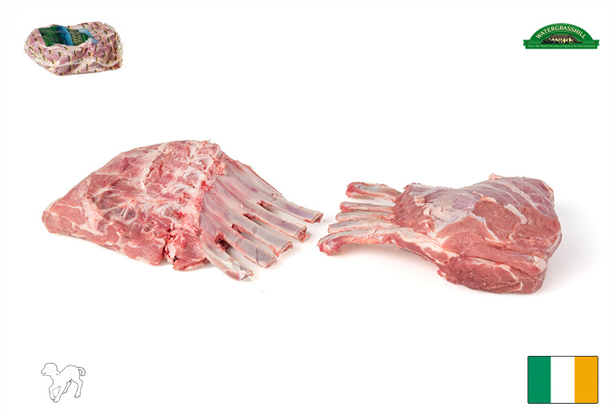 AGNELLO RACKS 5 COSTE SARATOGA(IRL)