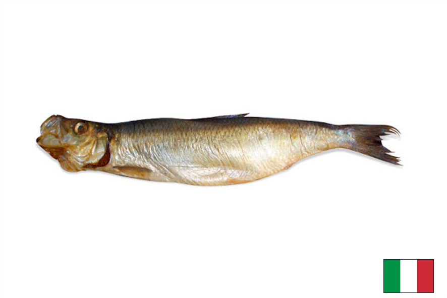 HERING GERAEUCHERT GOLD
