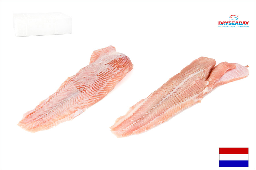 WELS FILET (WALLER) O/H 200-300 GR(NL)