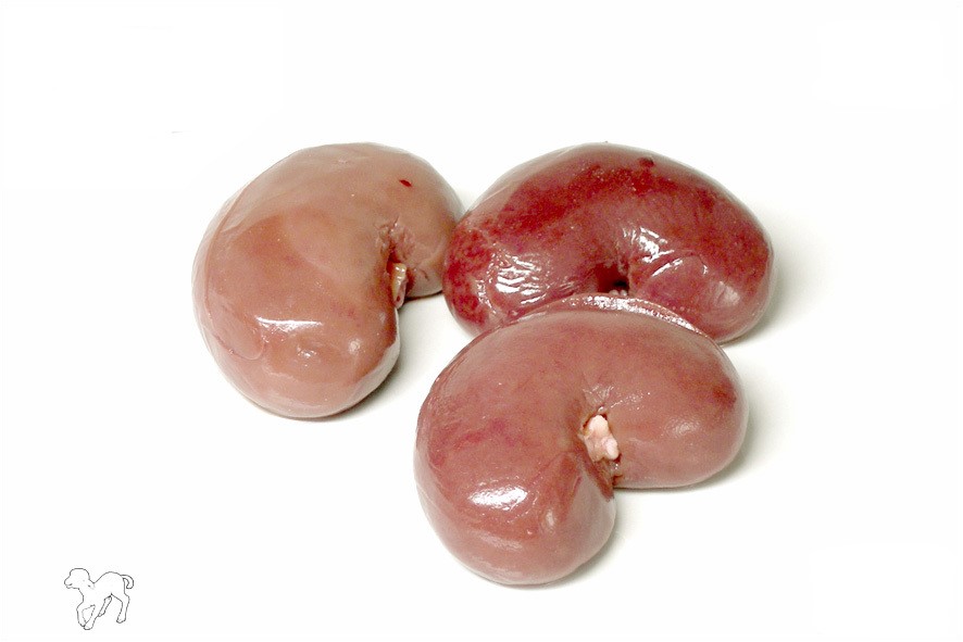 AGNELLO RENI S/GRASSO (IRL)