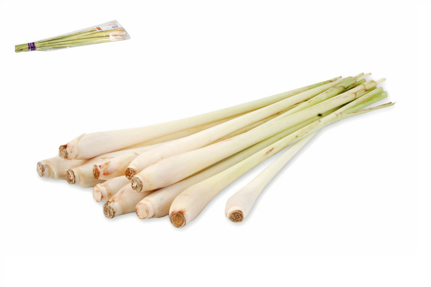 ZITRONENGRAS FRISCH(T)