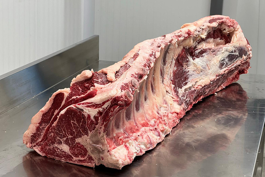 MANZO LOMBATA 8 C. MAREZZATA (PL)