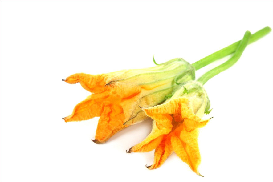 ZUCCHINI FIORI(I)
