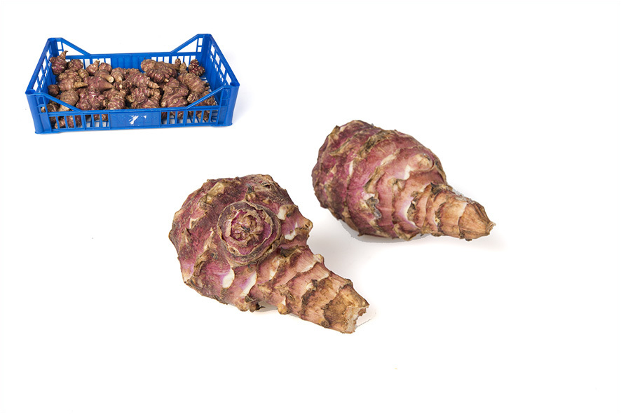 TOPINAMBOUR ROT BIO SUEDTIROL