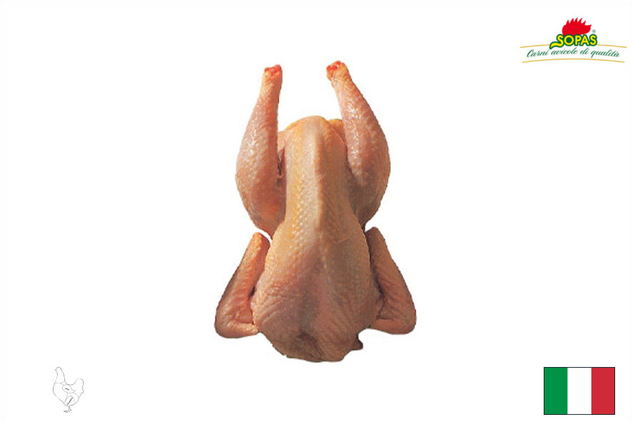 HUHN GROSS(I)