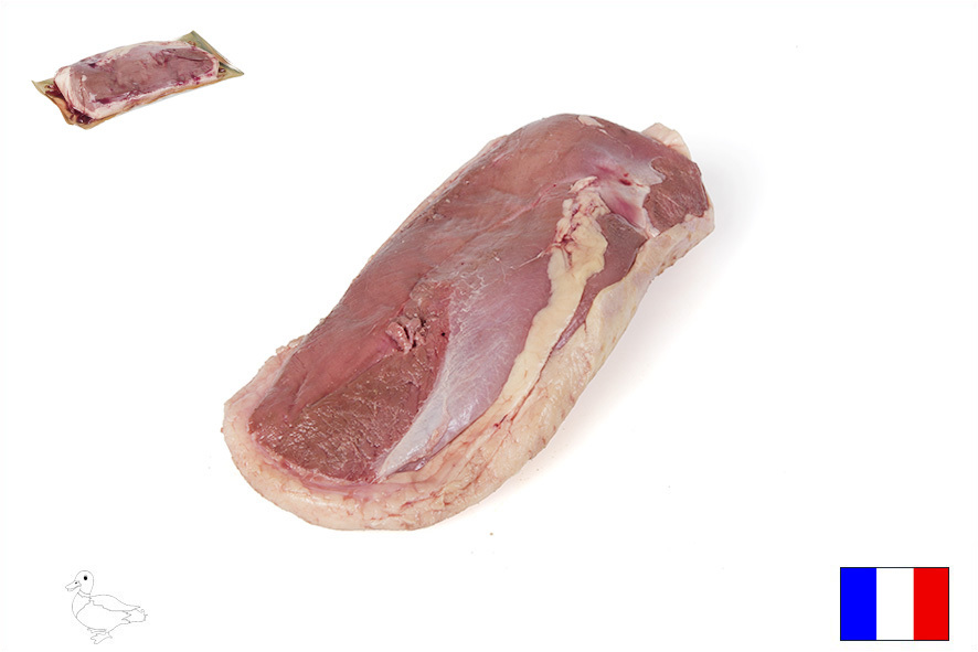 ANATRA PETTO MASCHIO IGP (F)