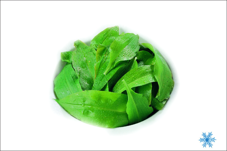 AGLIO ORSINO SG
