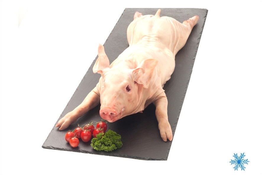 MILCHFERKEL AUS SARDINIEN TK