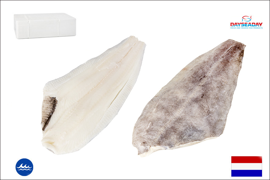 HALIBUT FIL.C/P 300-700 GR DECONGEL