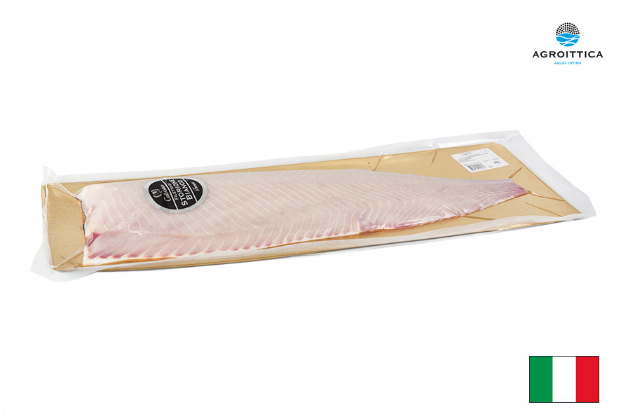 STORIONE BIANCO FIL. 1,8-2,2 KG(I)