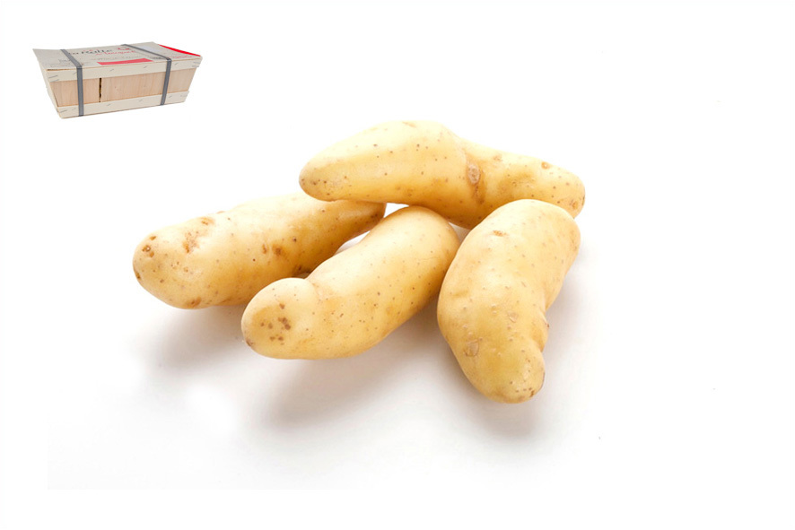 PATATE LA RATTE (MIGNON)