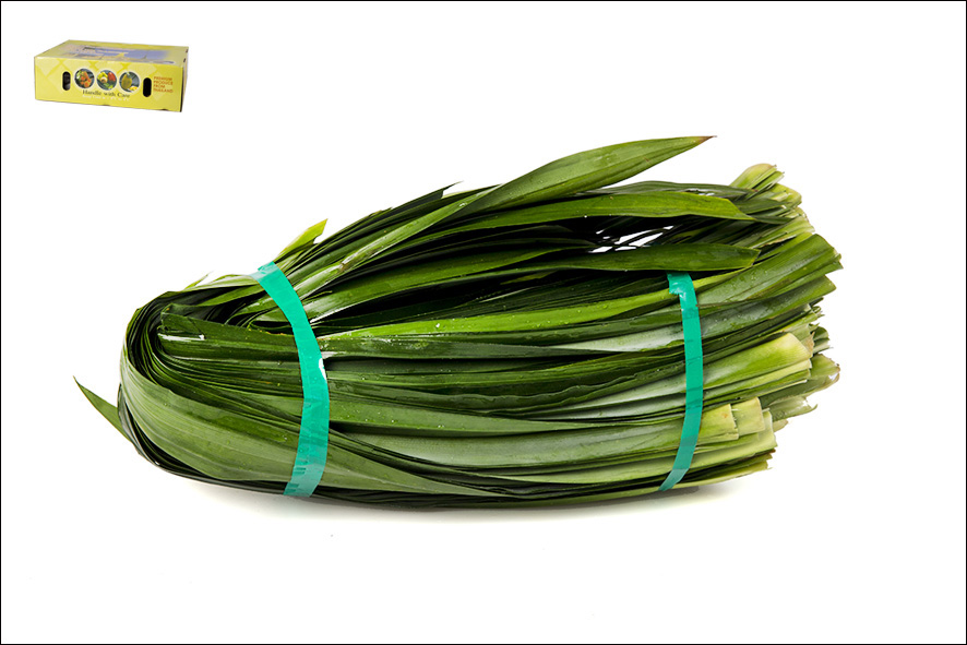 PANDANG BLAETTER (PANDANUS LEAVES)(T)